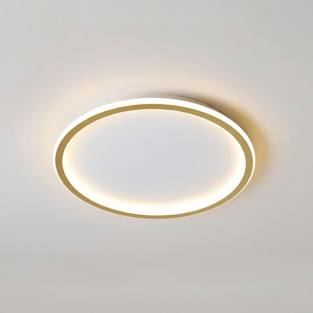 Contemporary Ceiling Fixture - Room Illumination