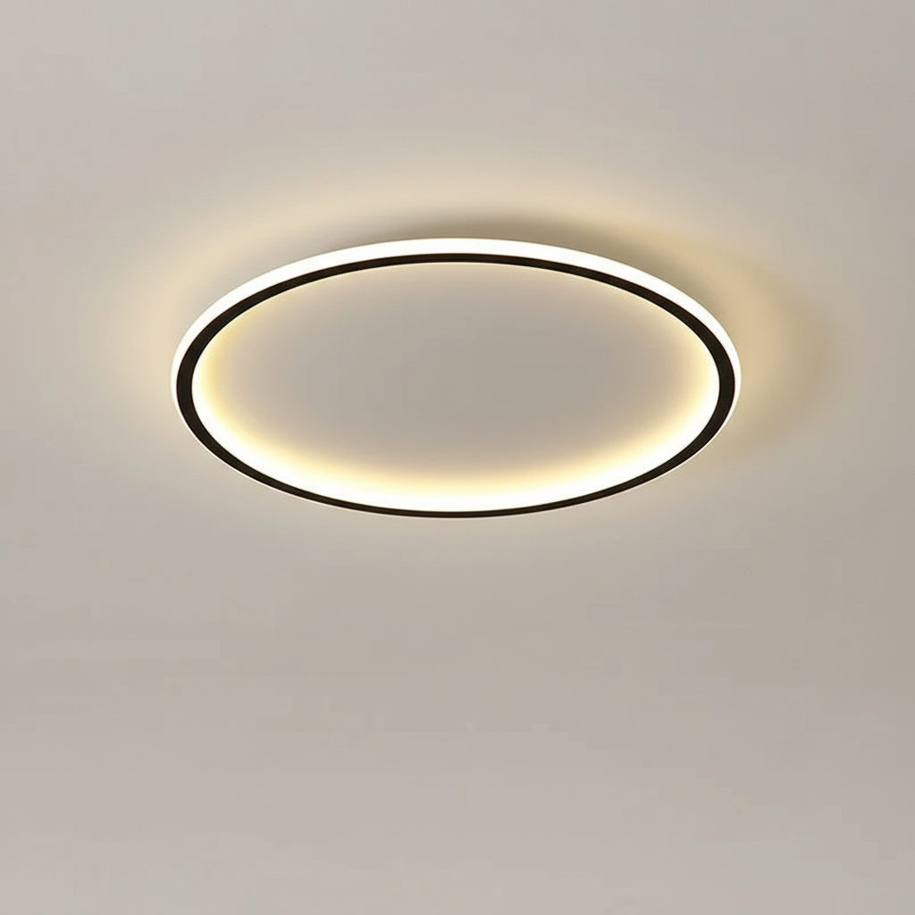 Contemporary Ceiling Fixture - Room Illumination