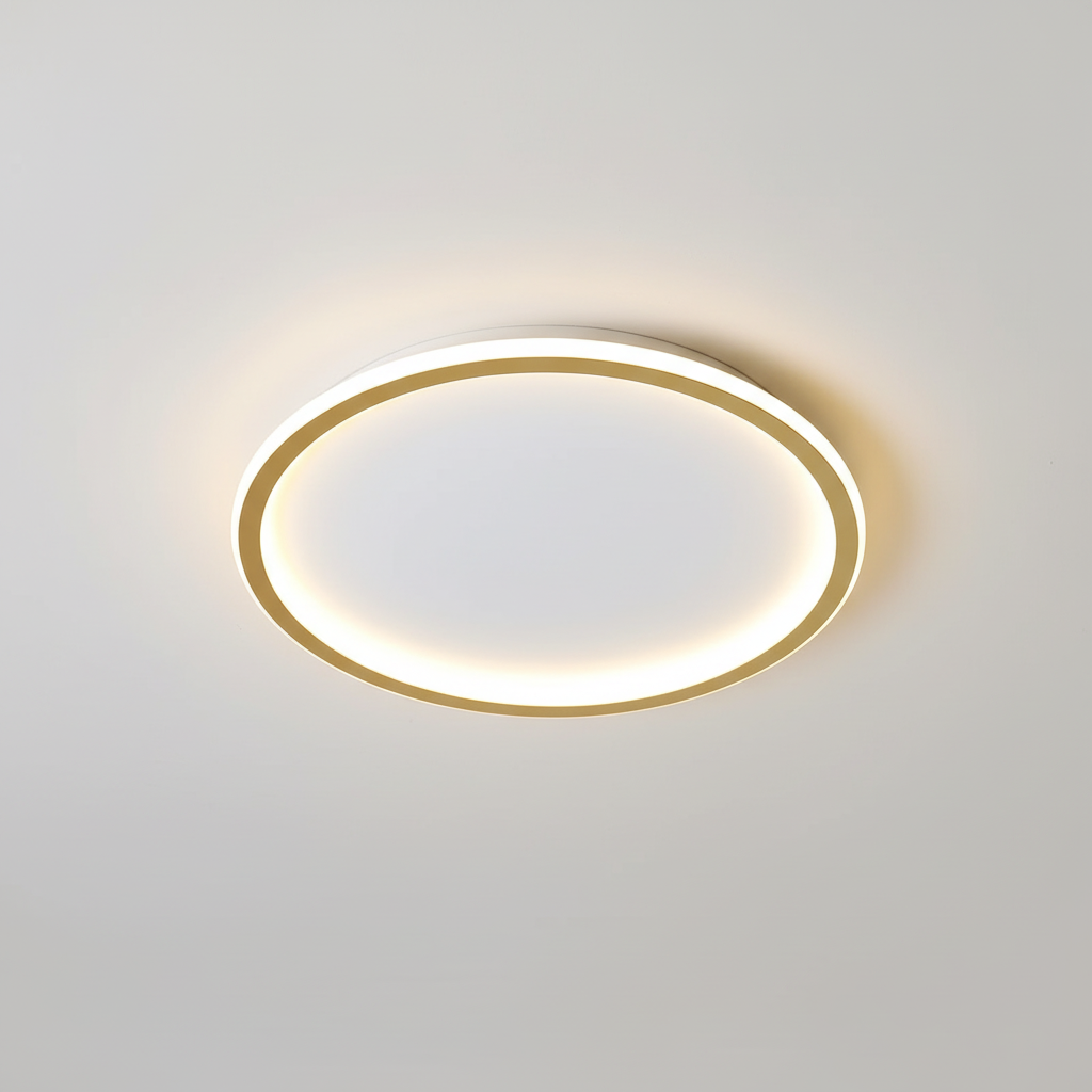 Contemporary Ceiling Fixture - Room Illumination