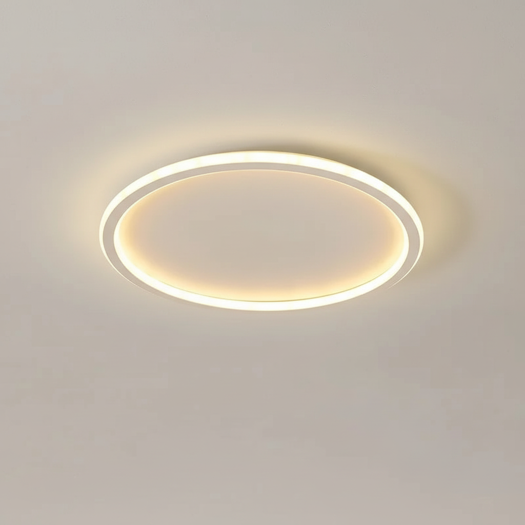 Contemporary Ceiling Fixture - Room Illumination