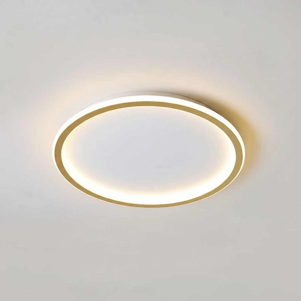 Contemporary Ceiling Fixture - Room Illumination