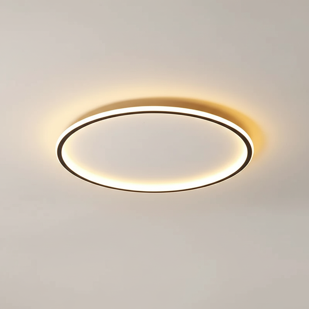 Contemporary Ceiling Fixture - Room Illumination