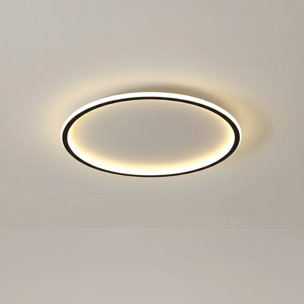 Contemporary Ceiling Fixture - Room Illumination