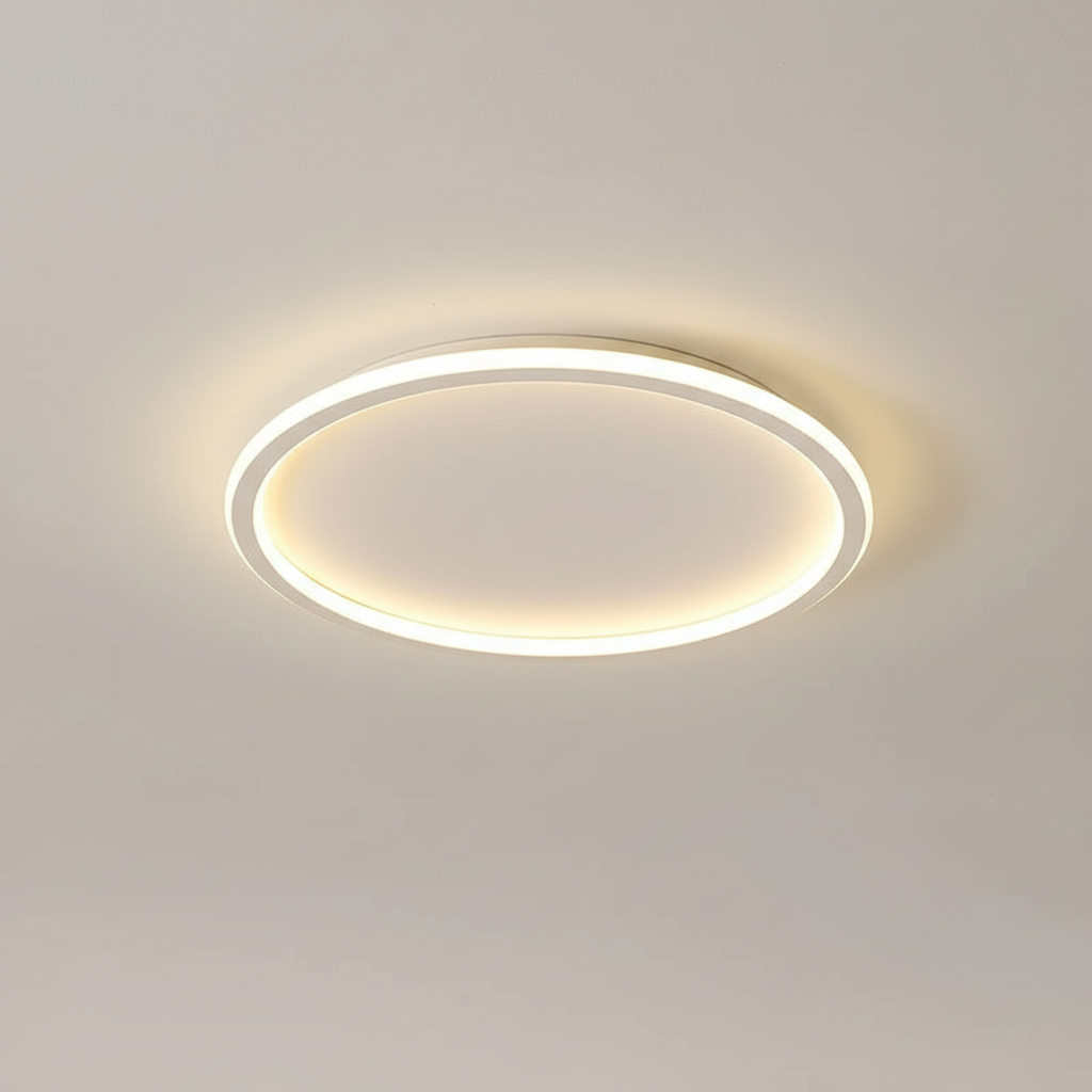 Contemporary Ceiling Fixture - Room Illumination