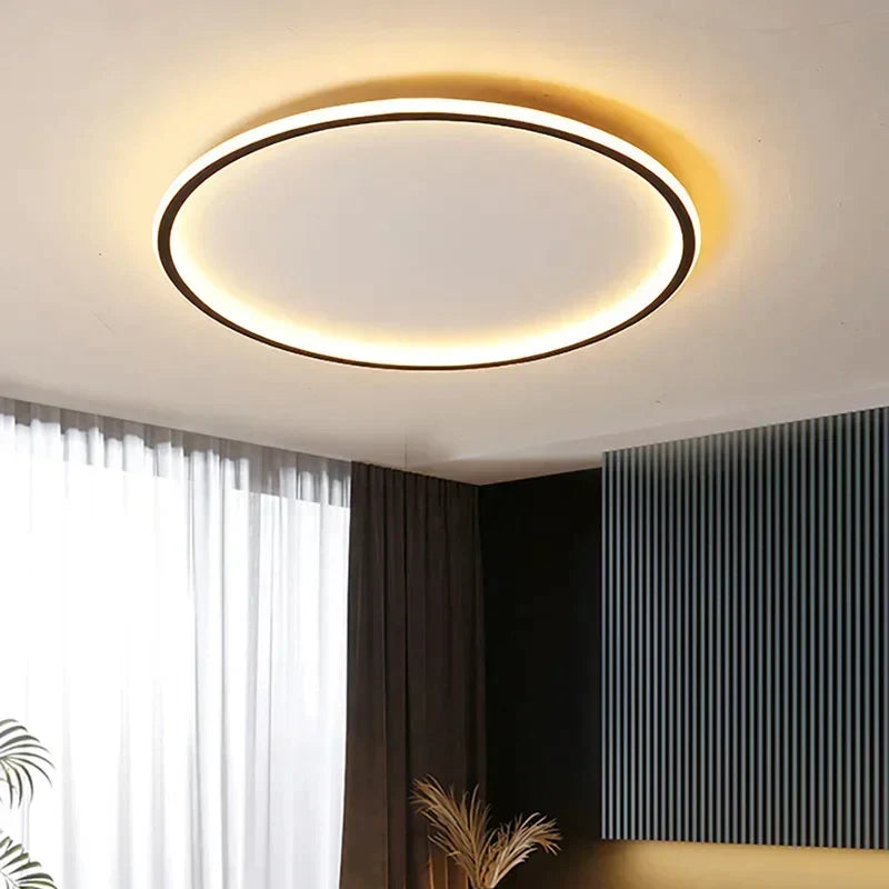 Contemporary Ceiling Fixture - Room Illumination