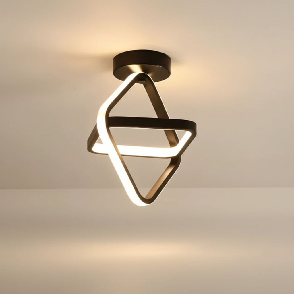Contemporary LED Ceiling Lamp