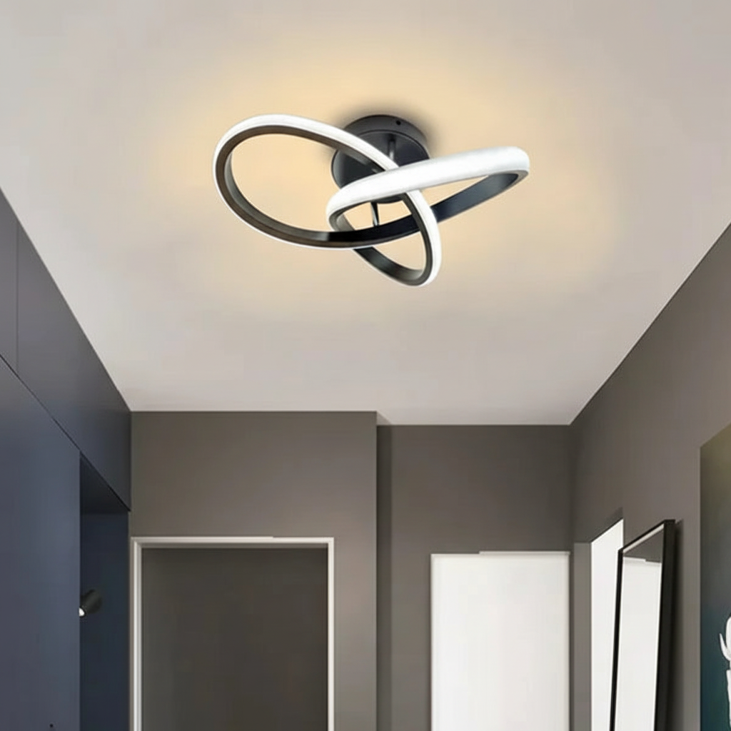 Contemporary LED Ceiling Lamp