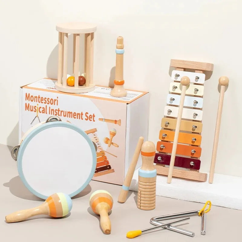 Joyful Sounds Musical Instrument Set for Young Explorers