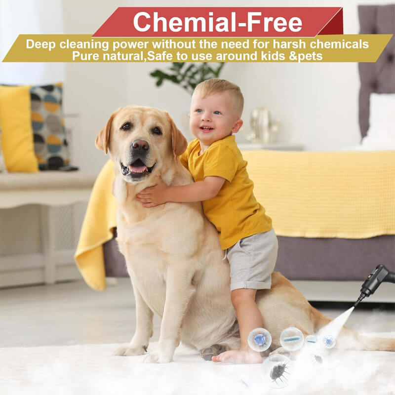 Versatile Steam Cleaning Solution | 2500W Rapid Heat Cleaner