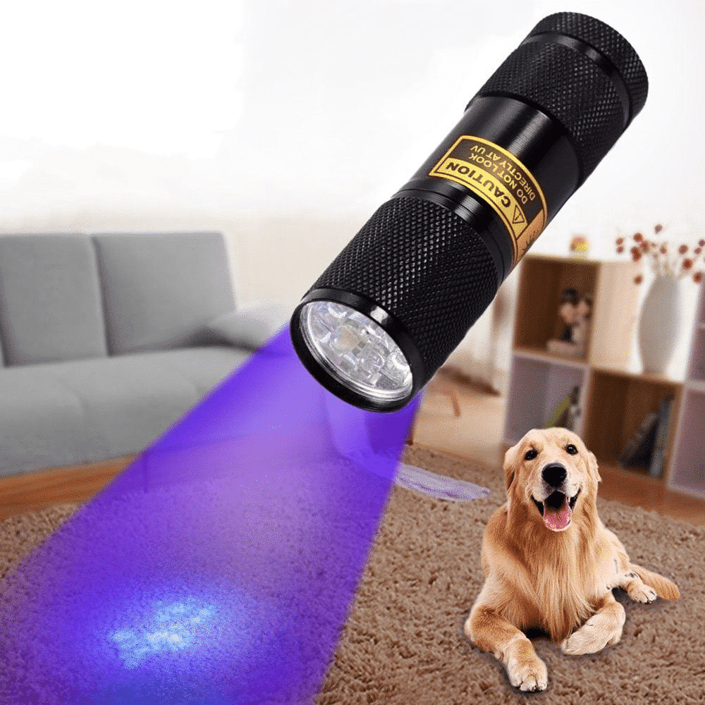Compact 21-LED UV Detection Flashlight