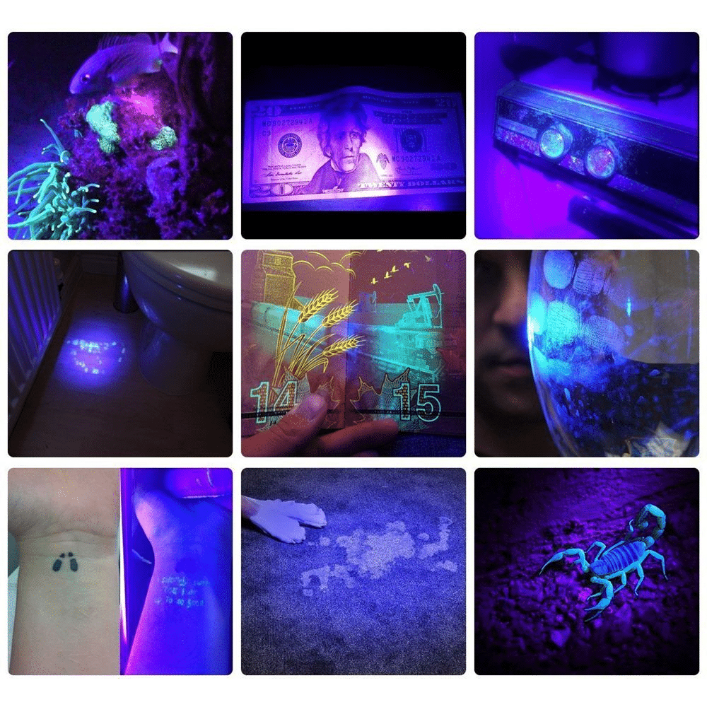 Compact 21-LED UV Detection Flashlight