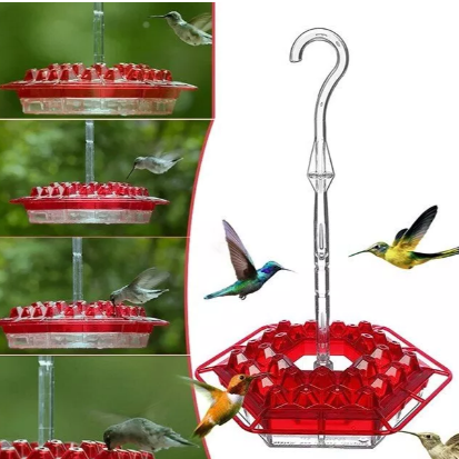 AquaGuard – Stylish Bird Feeder with Multiple Resting Points