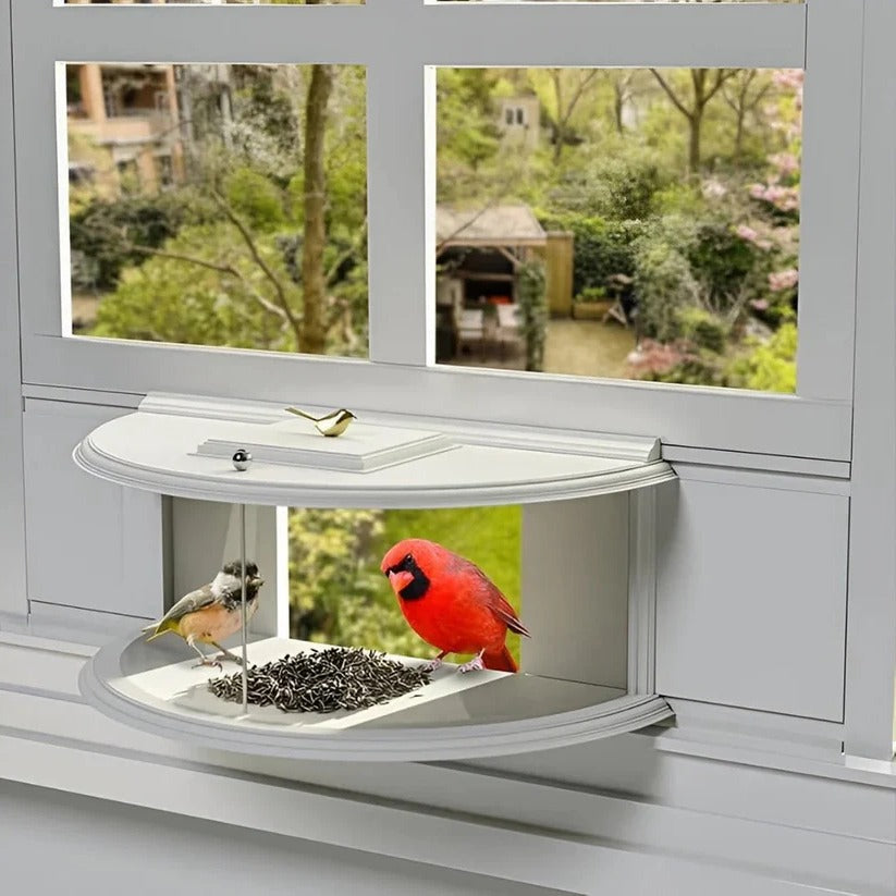 VistaBird | Clear Window Bird Feeder with Simple Suction Cup Setup