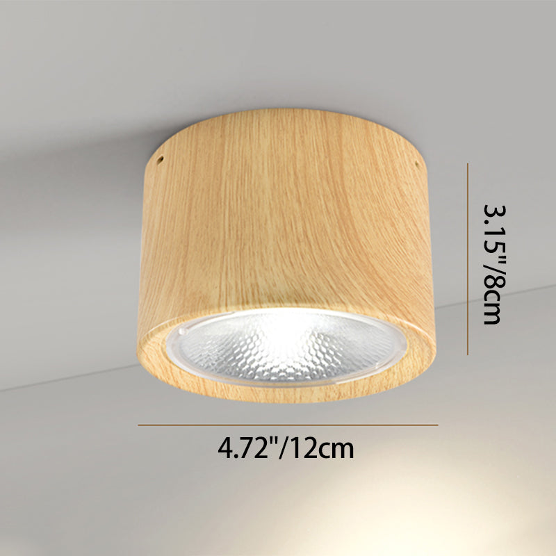 LuxeBright | Contemporary LED Ceiling Light Fixture
