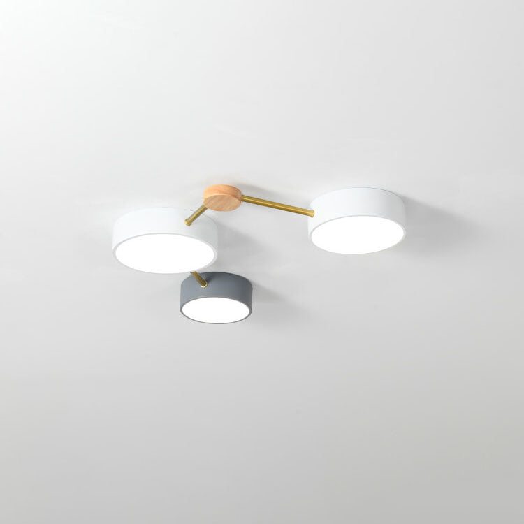 Elegant LED Ceiling Light Fixture for Modern Interiors