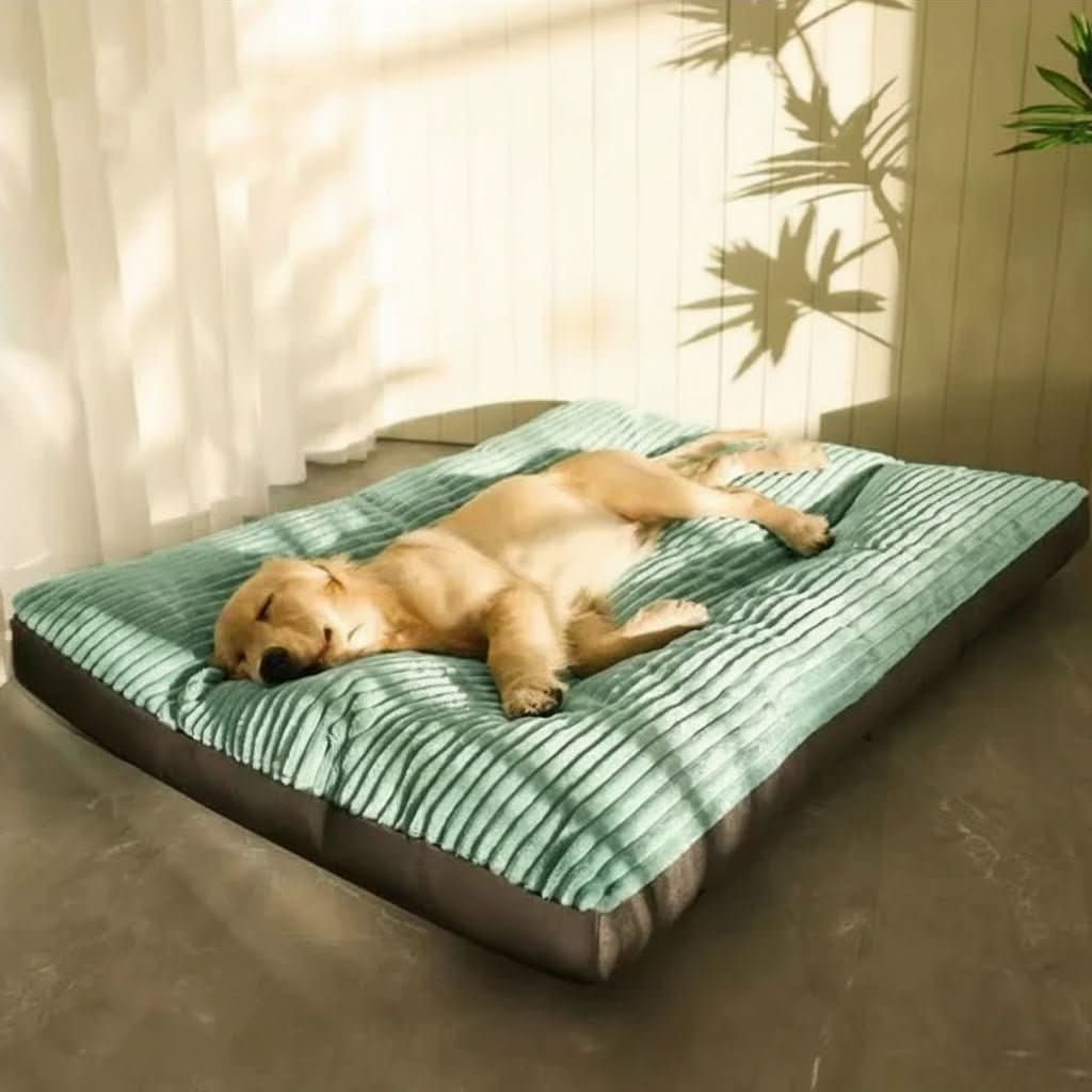 CozyPaws – Supportive Orthopedic Dog Bed for Ultimate Comfort