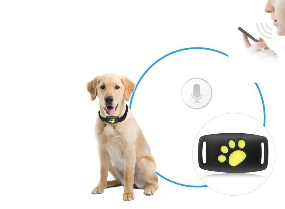 PetGuardian – Real-Time GPS Cat Location Tracker