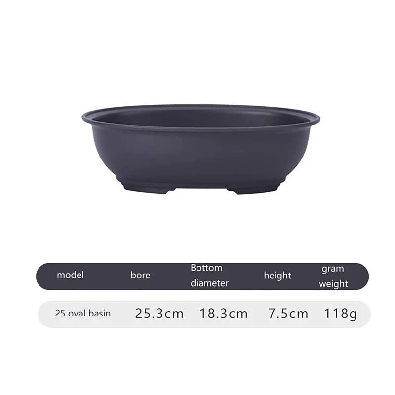 Airflow Planter – Stylish Pot for Bonsai and Succulents