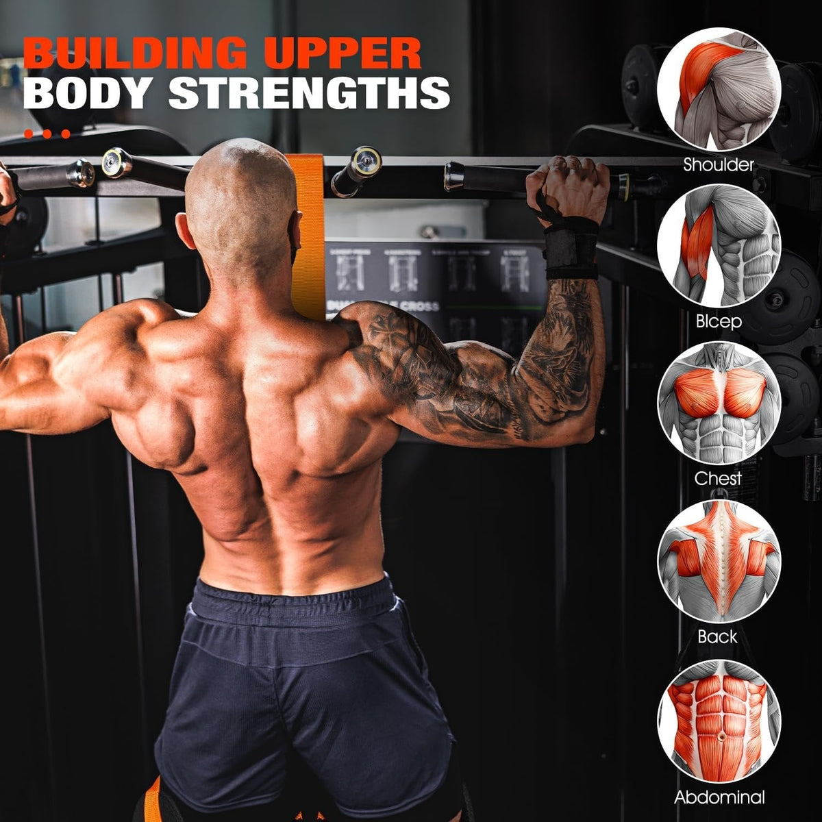 Upper Body Strength Trainer | Enhanced Support Band System