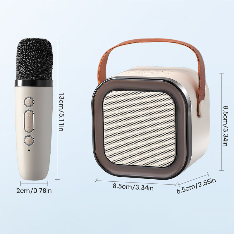 Compact Karaoke System with Dual Wireless Microphones