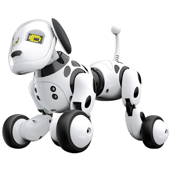 Interactive Playful Companion Robot