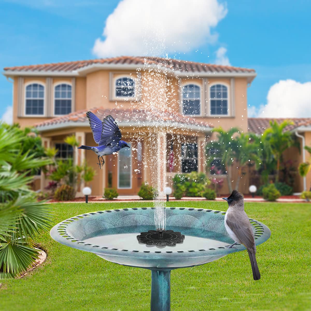 Solar-Powered Floral Water Feature for Pools and Ponds