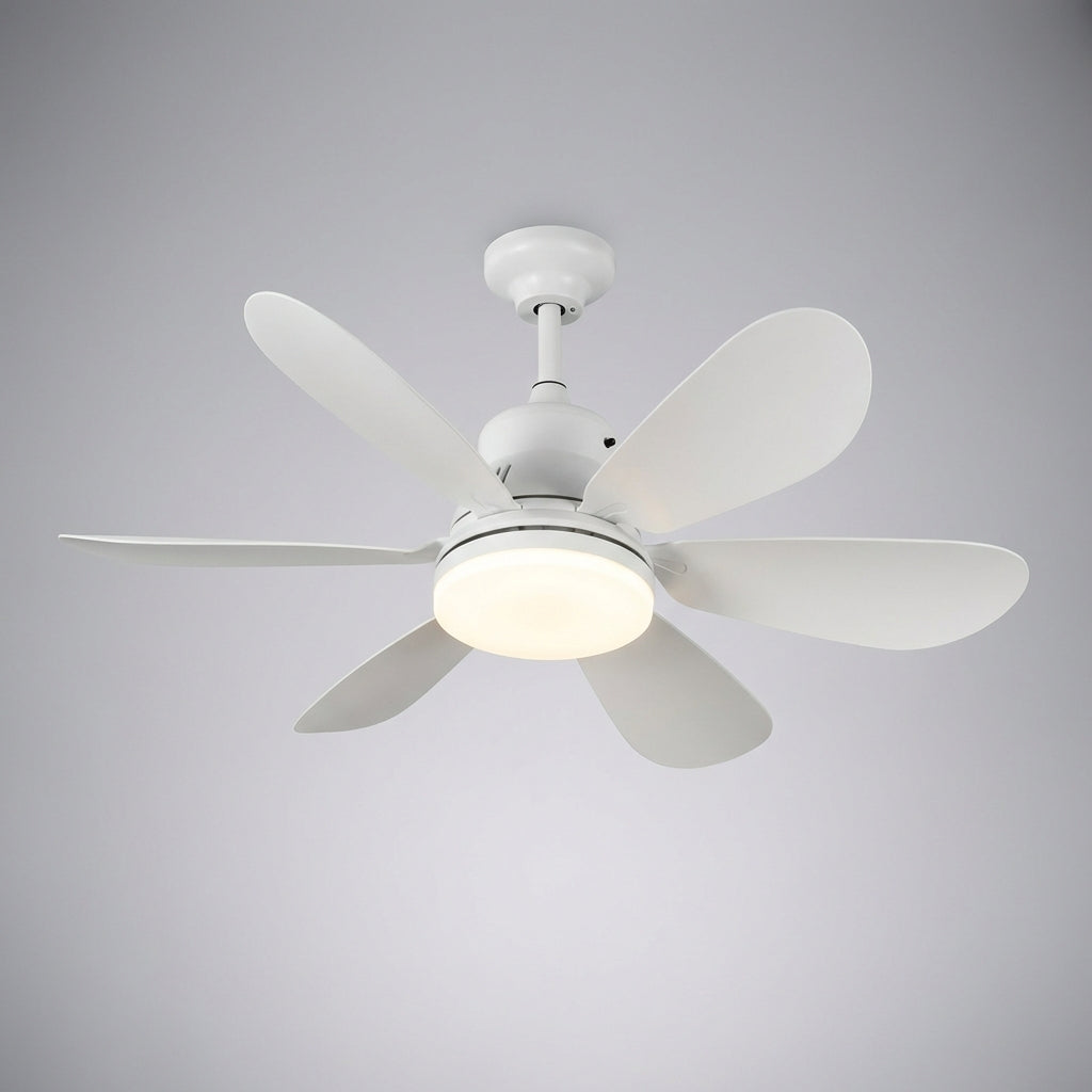 Ceiling Light Fixture with Remote Control - Sky Light