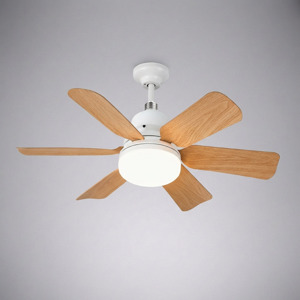 Ceiling Light Fixture with Remote Control - Sky Light