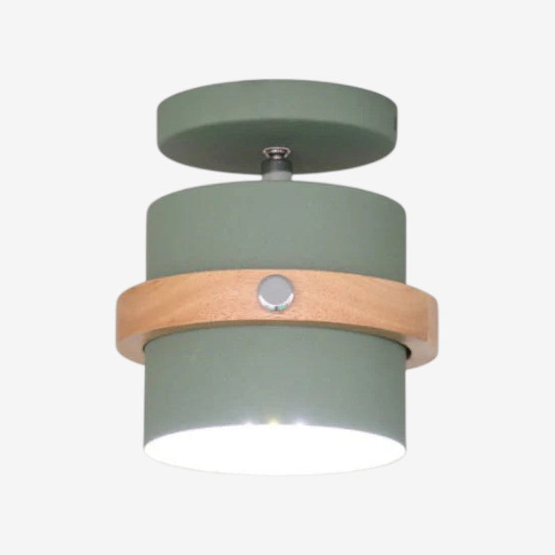 Adjustable LED Ceiling Light with Stylish Rotating Design