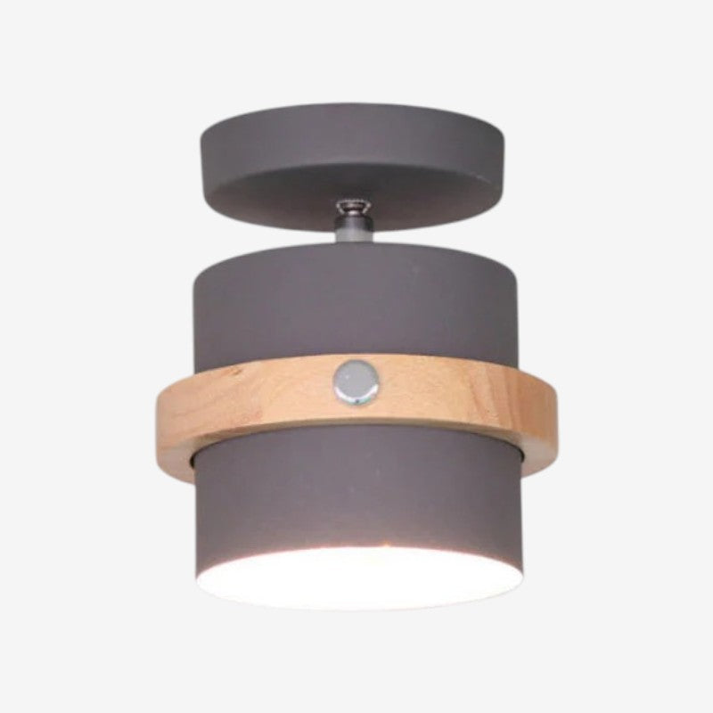 Adjustable LED Ceiling Light with Stylish Rotating Design