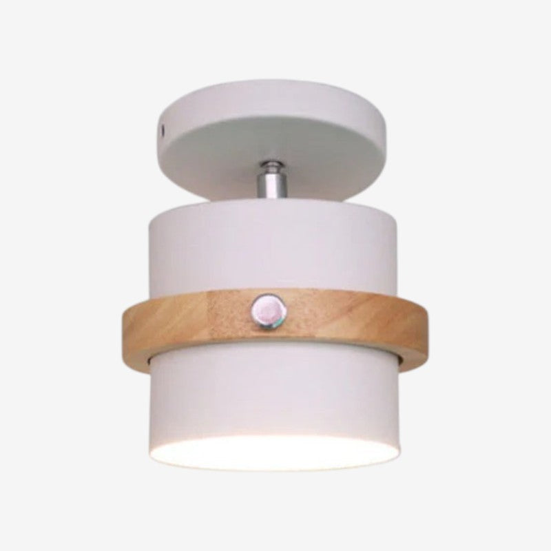Adjustable LED Ceiling Light with Stylish Rotating Design