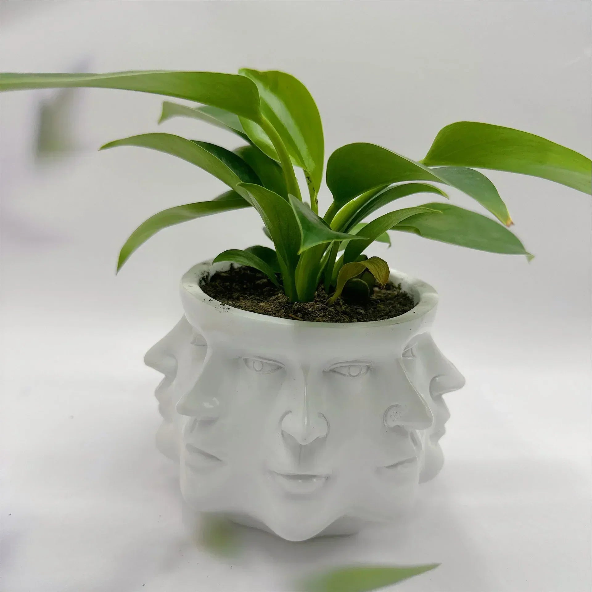 Face Pot for 3D Facial Treatments