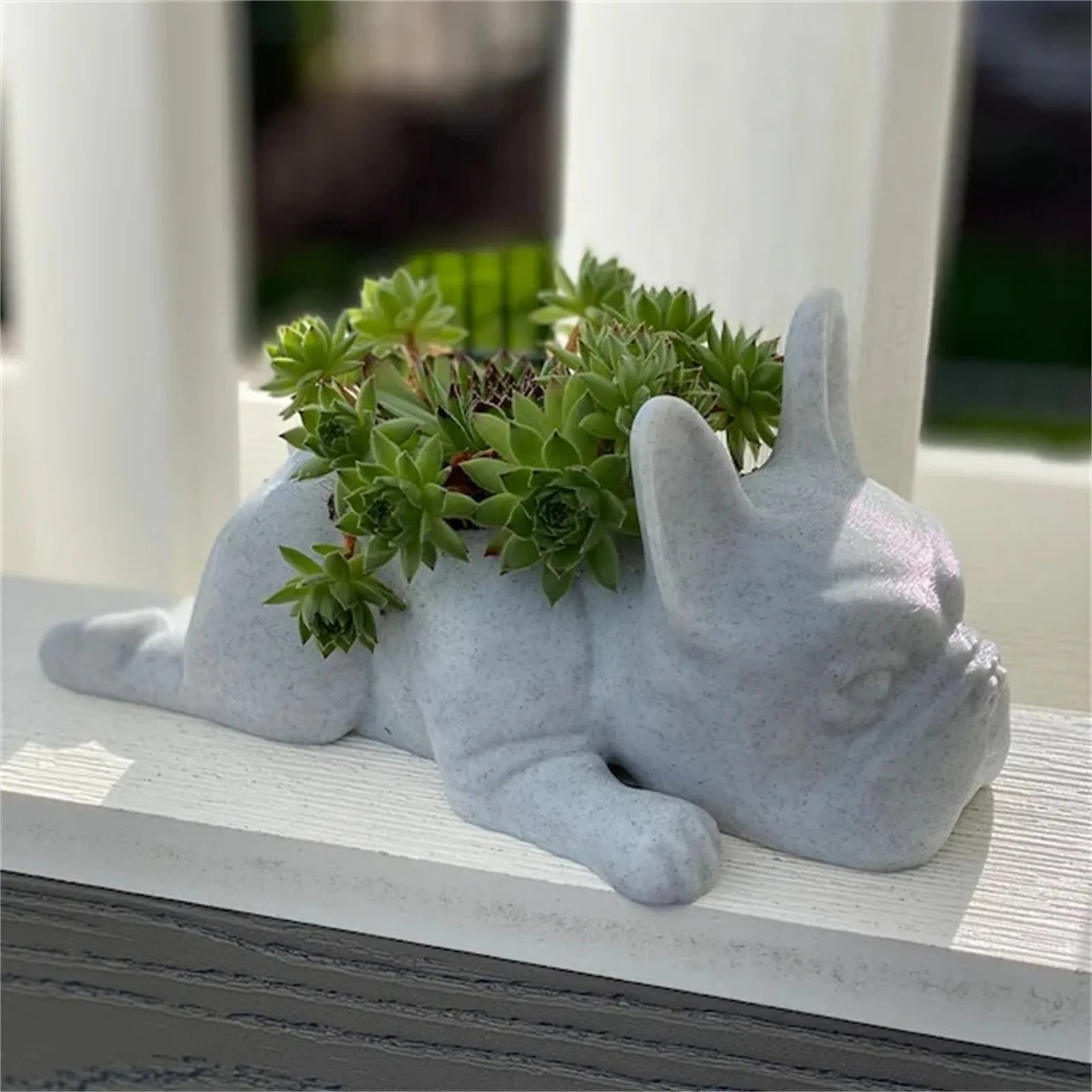 Succulent Planter for Dogs - Resin Buddy Design