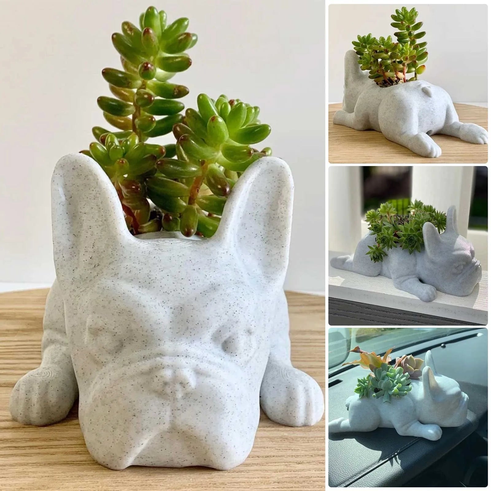 Succulent Planter for Dogs - Resin Buddy Design