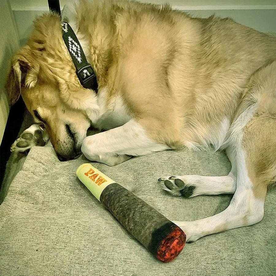 Plush Paws Squeaky Cigar Toy – Engaging Comfort for Dogs