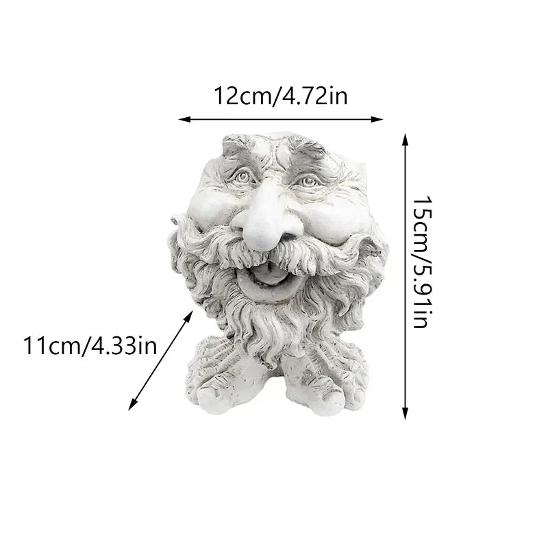 Humorous Face Shaped Planter - Laughing Plant Pot