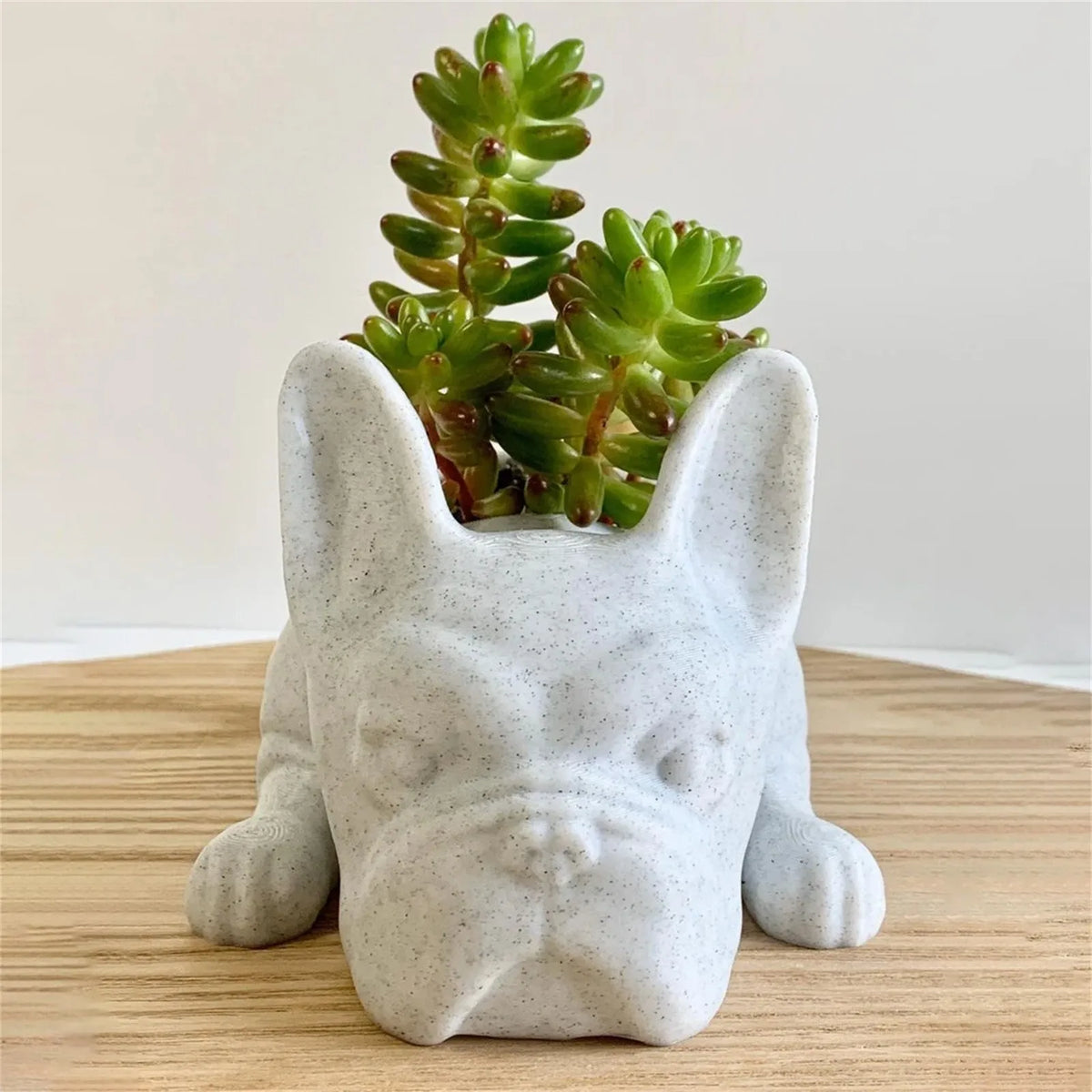 Succulent Planter for Dogs - Resin Buddy Design