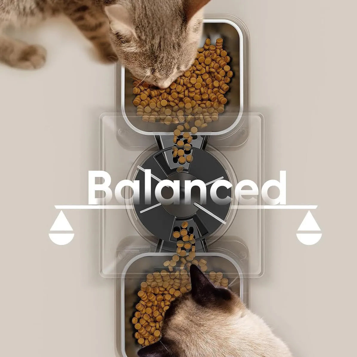 PetEase 5L Automatic Cat Feeder – Battery-Powered Stainless Steel Dispenser for Effortless Daily Meals