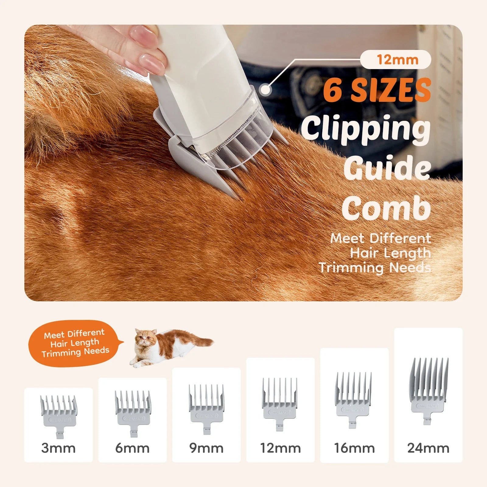 Pawsitive Grooming Pro Vacuum System | 2.5L Capacity with 5 Tools & Quiet Clippers