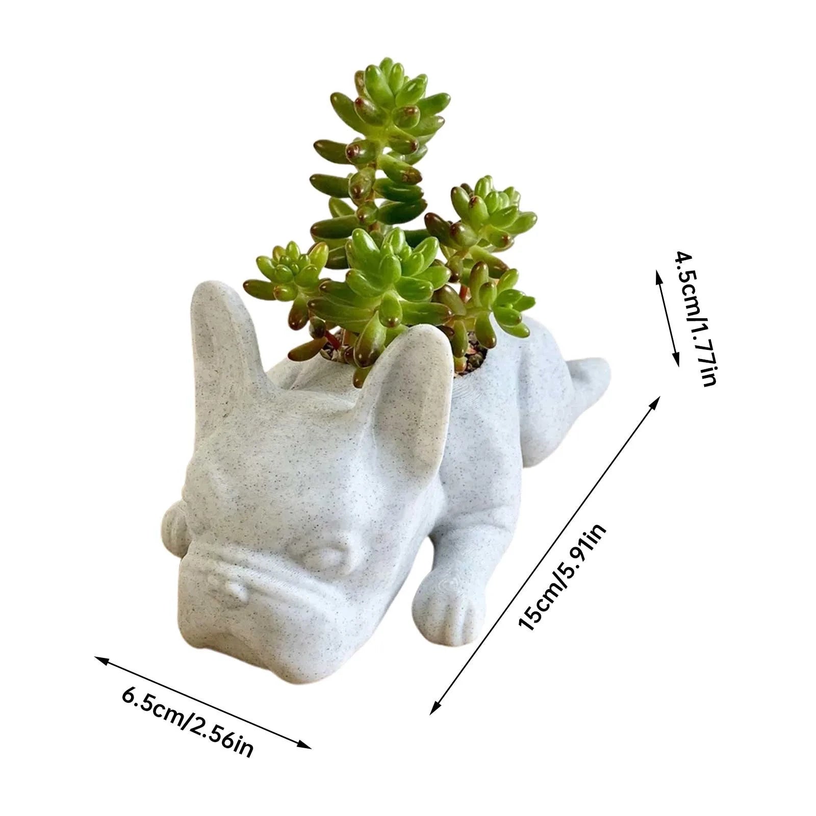 Succulent Planter for Dogs - Resin Buddy Design