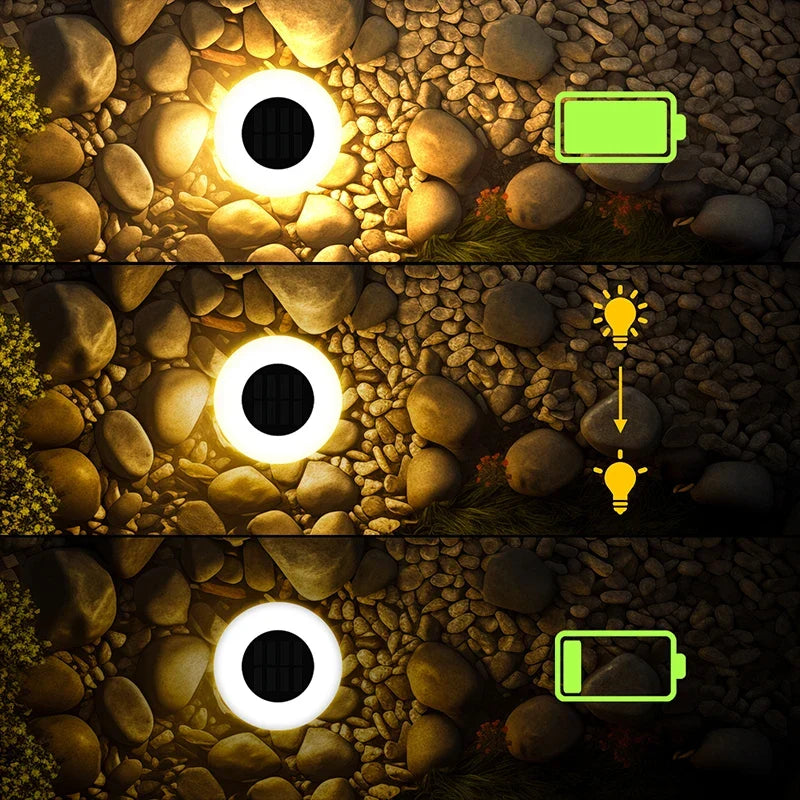 Eco-Friendly Solar Pathway Lights – 4-Pack with 14 LEDs
