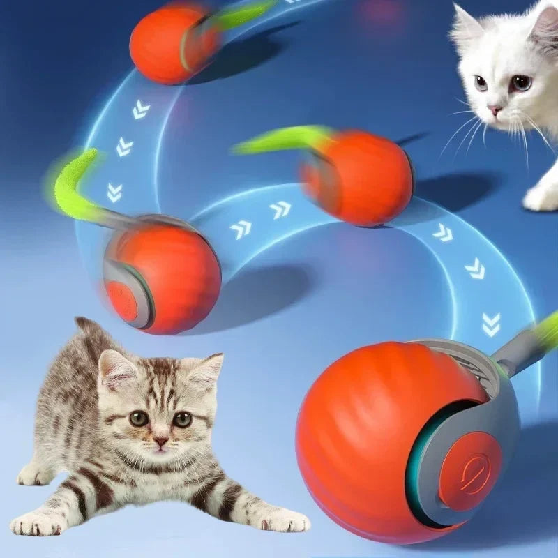 WhiskerChase Automatic Cat Play Ball | Engaging Feather Teaser Toy