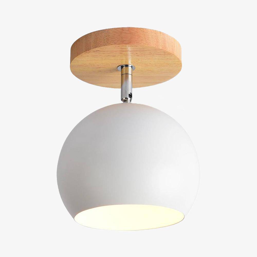 Versatile Adjustable Ceiling Light for Stylish Interiors