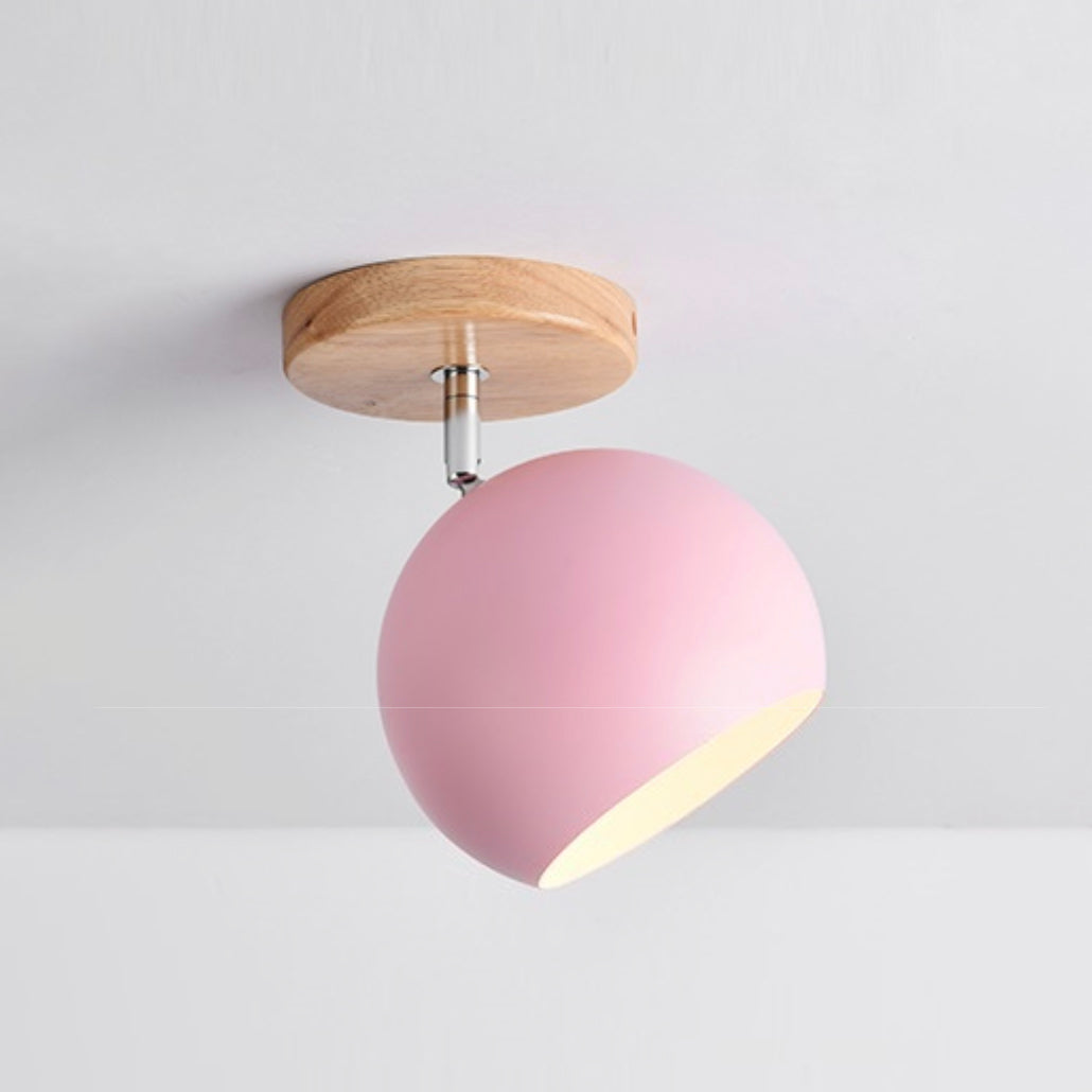 Versatile Adjustable Ceiling Light for Stylish Interiors