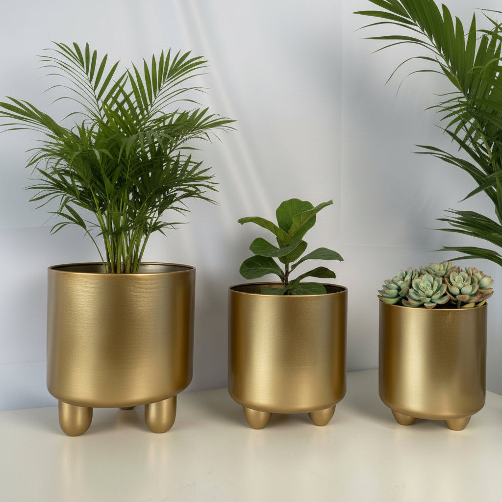 Chic Ceramic Planter Duo for Contemporary Spaces