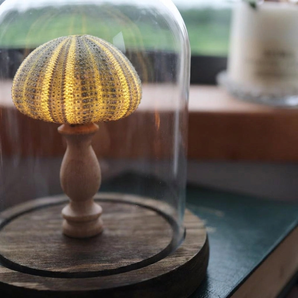 Ocean-Inspired Night Light with Seashell Design