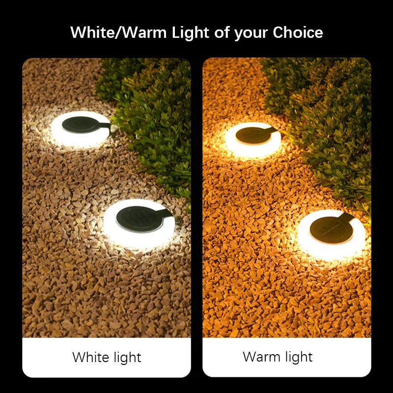 Solar Outdoor Spike Light – Adjustable & Weather Resistant