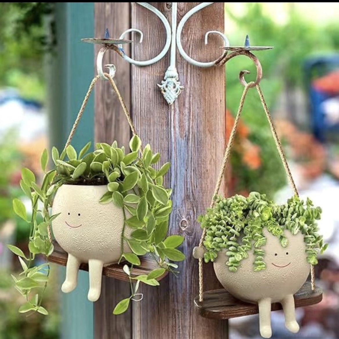 Charming Swinging Planter for Indoor and Outdoor Greens