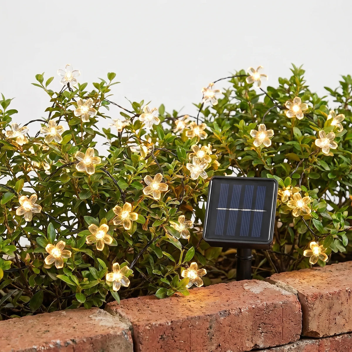 Outdoor Solar String Lights