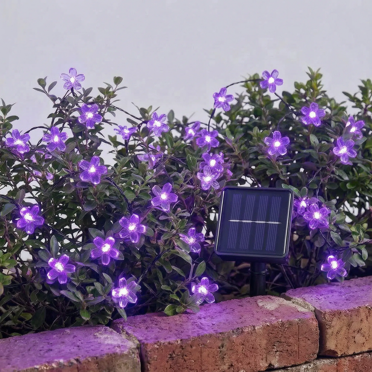 Outdoor Solar String Lights